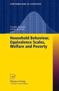 bokomslag Household Behaviour, Equivalence Scales, Welfare and Poverty