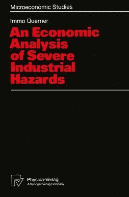 Economic Analysis of Severe Industrial Hazards 1
