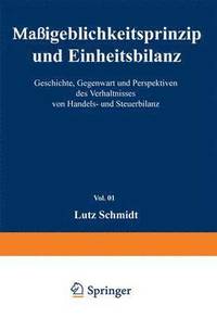 bokomslag Mageblichkeitsprinzip und Einheitsbilanz