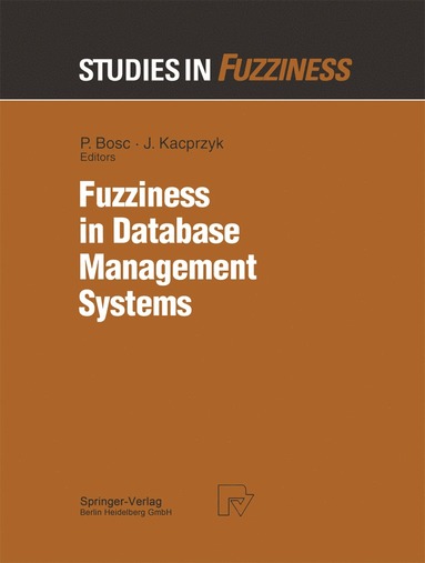 bokomslag Fuzziness in Database Management Systems