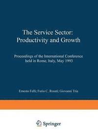 bokomslag The Service Sector: Productivity and Growth