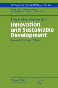 bokomslag Innovation and Sustainable Development