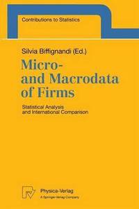 bokomslag Micro- and Macrodata of Firms