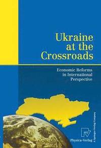 bokomslag Ukraine at the Crossroads