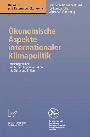 Wolfgang Bräuer, Oliver Kopp, Roland Rösch - Ökonomische Aspekte internationaler Klimapolitik, Häftad