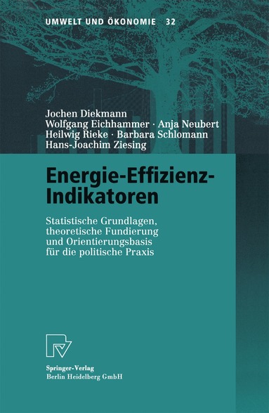 bokomslag Energie-Effizienz-Indikatoren