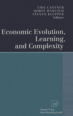 bokomslag Economic Evolution, Learning, and Complexity