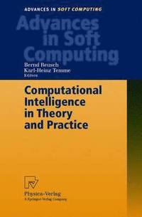bokomslag Computational Intelligence in Theory and Practice