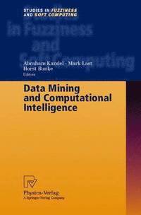 bokomslag Data Mining and Computational Intelligence