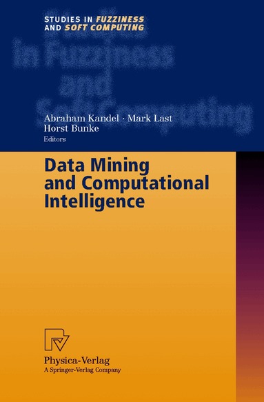 Abraham Kandel, Mark Last, Horst Bunke - Data Mining and Computational Intelligence, Inbunden