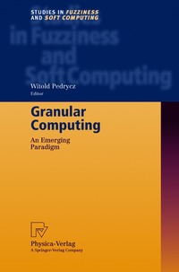 bokomslag Granular Computing