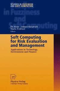bokomslag Soft Computing for Risk Evaluation and Management