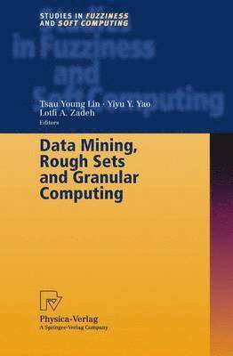 bokomslag Data Mining, Rough Sets and Granular Computing