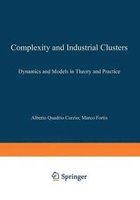 bokomslag Complexity and Industrial Clusters