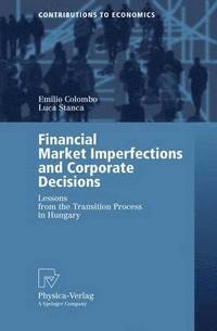 bokomslag Financial Market Imperfections and Corporate Decisions