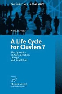 bokomslag A Life Cycle for Clusters?