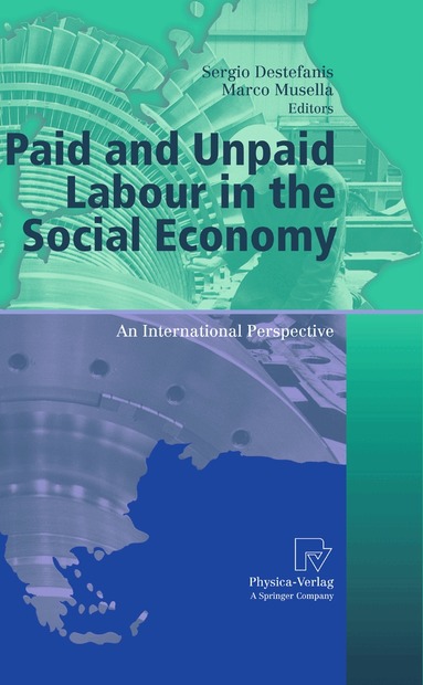 Sergio Destefanis, Marco Musella - Paid and Unpaid Labour in the Social Economy, Inbunden