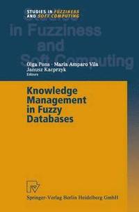 bokomslag Knowledge Management in Fuzzy Databases
