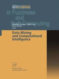 bokomslag Data Mining and Computational Intelligence