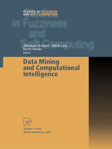 Abraham Kandel, Mark Last, Horst Bunke - Data Mining and Computational Intelligence, Häftad