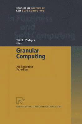 bokomslag Granular Computing