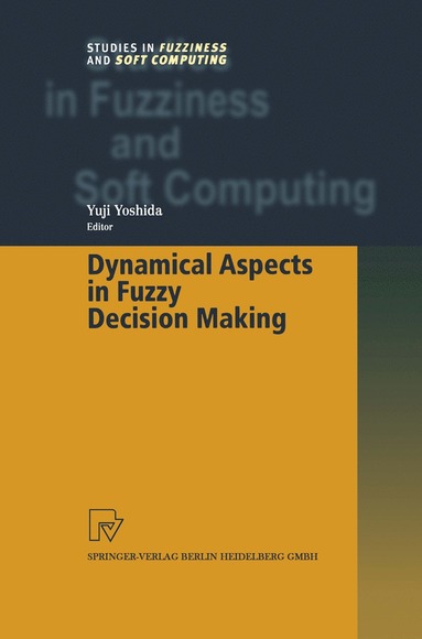 bokomslag Dynamical Aspects in Fuzzy Decision Making