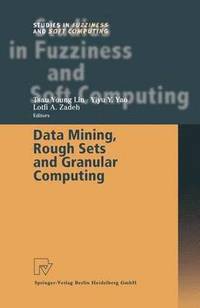 bokomslag Data Mining, Rough Sets and Granular Computing