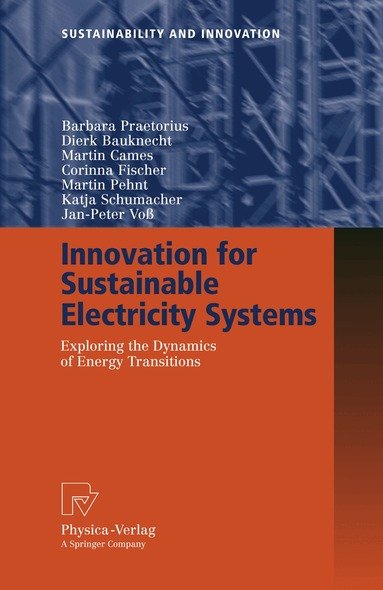 Barbara Praetorius, Dierk Bauknecht, Martin Cames, Corinna Fischer, Martin Pehnt, Katja Schumacher, Jan-Peter Voß - Innovation for Sustainable Electricity Systems, Häftad