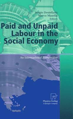 Sergio Destefanis, Marco Musella - Paid and Unpaid Labour in the Social Economy, Häftad