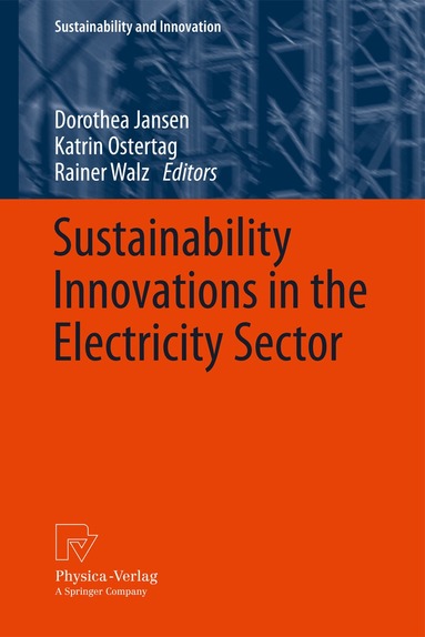 Dorothea Jansen, Katrin Ostertag, Rainer Walz - Sustainability Innovations in the Electricity Sector, Häftad