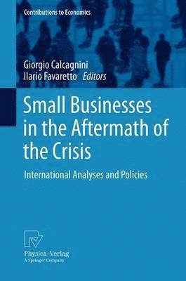 Small Businesses in the Aftermath of the Crisis 1