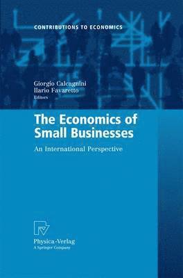 bokomslag The Economics of Small Businesses