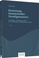 bokomslag Bewertung immaterieller Vermögenswerte