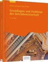 bokomslag Grundlagen und Probleme der Betriebswirtschaft