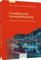 bokomslag Grundlagen des Investmentbanking