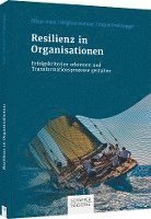 bokomslag Resilienz in Organisationen