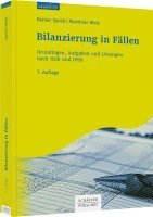 bokomslag Bilanzierung in Fällen