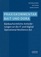 Patrik Buchmüller - Praxiskommentar BAIT, Inbunden