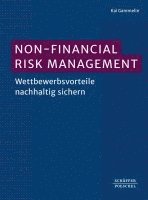 bokomslag Non-Financial Risk Management