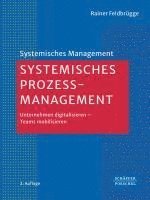 bokomslag Systemisches Prozessmanagement