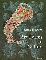 bokomslag Art Forms in Nature: The Prints of Ernst Haeckel