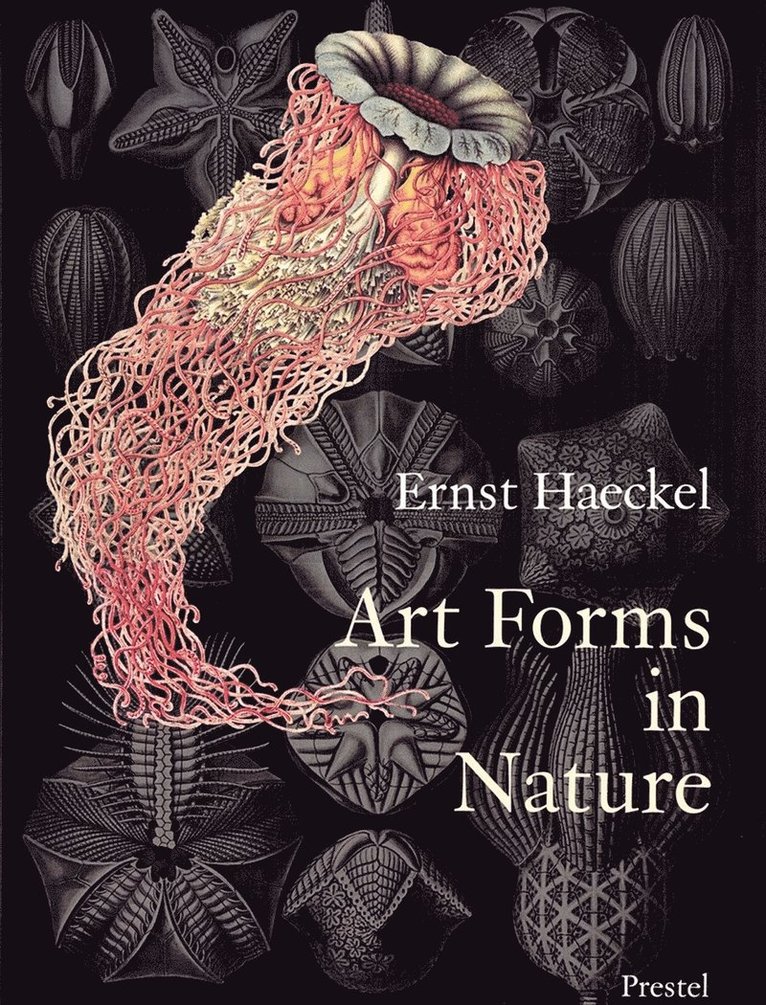 Art Forms in Nature, Häftad