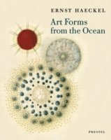 bokomslag Art Forms from the Ocean