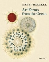 bokomslag Art Forms from the Ocean: the Radiolarian Prints of Ernst Haeckel
