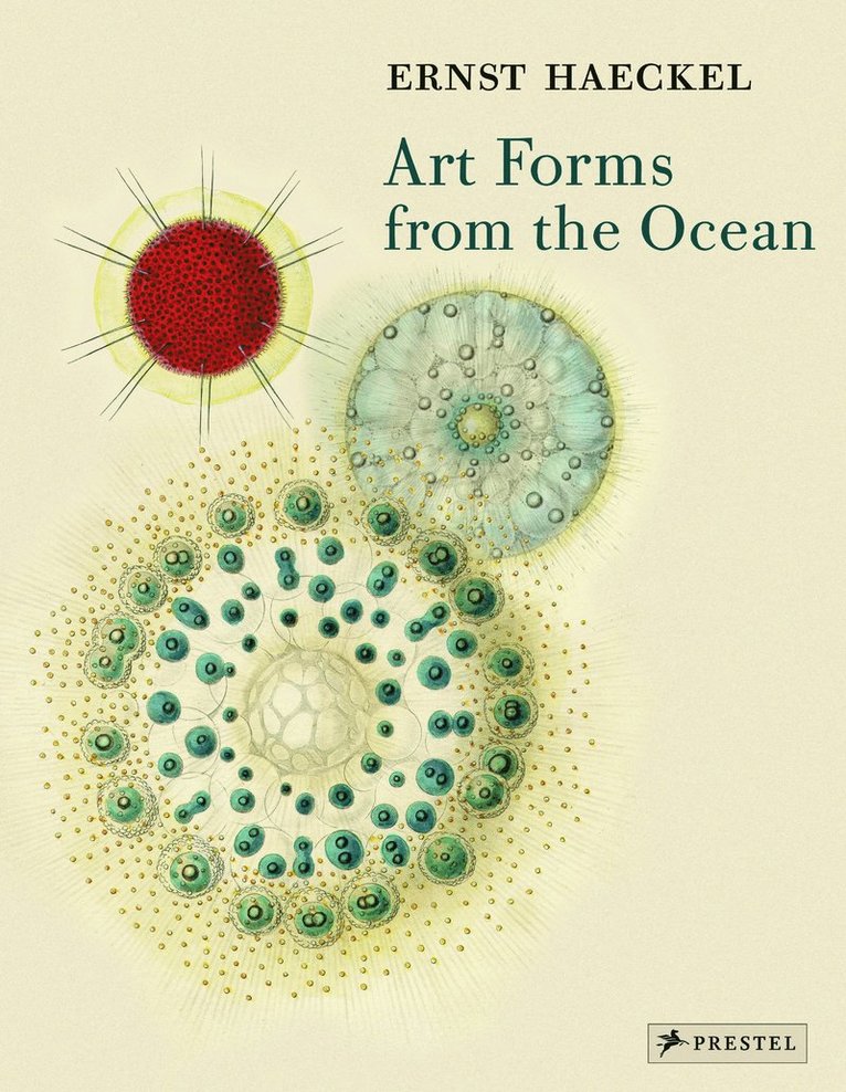 Olaf Breidbach - Art Forms from the Ocean, Häftad