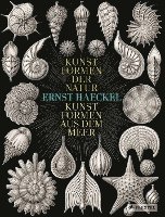 bokomslag Ernst Haeckel