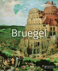 bokomslag Bruegel