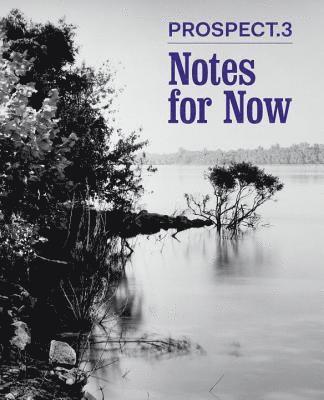 bokomslag Prospect.3: Notes for Now