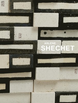 Jenelle Porter, Arlene Shechet - Arlene Shechet: All at Once, Inbunden