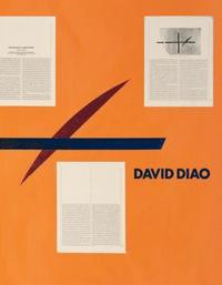 bokomslag David Diao